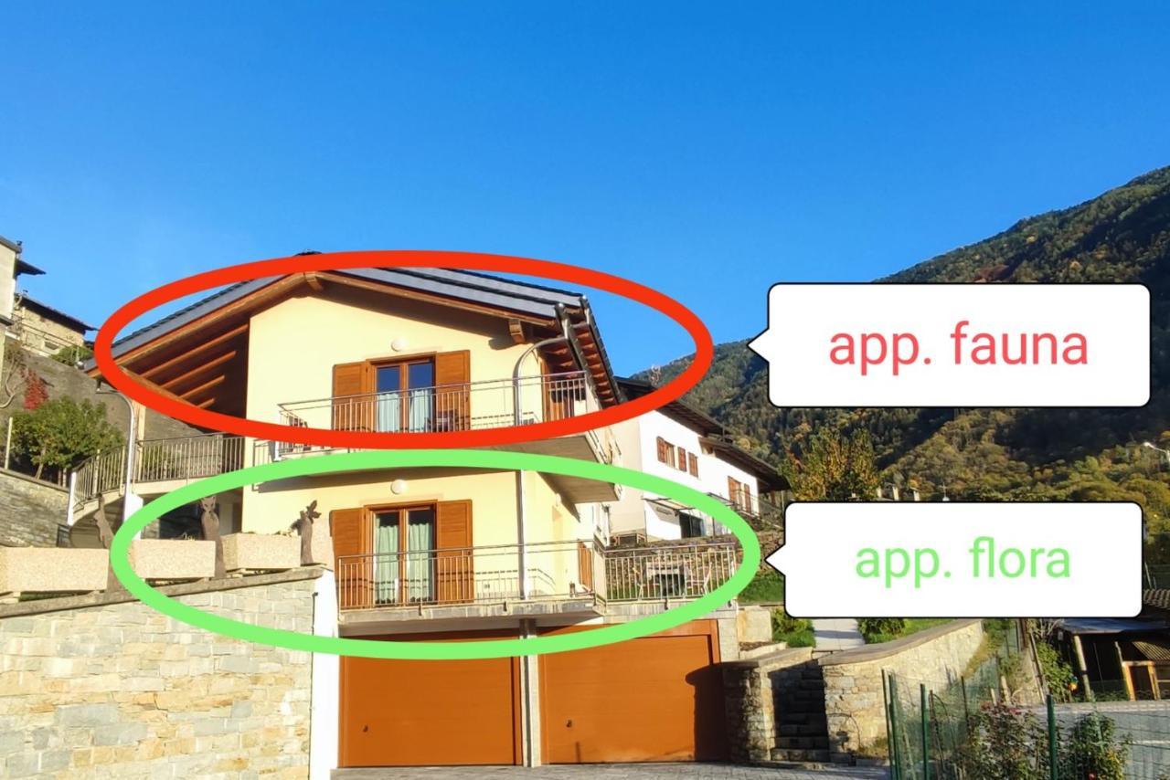 Pisolo Selvaggio Apartment Tirano Bagian luar foto