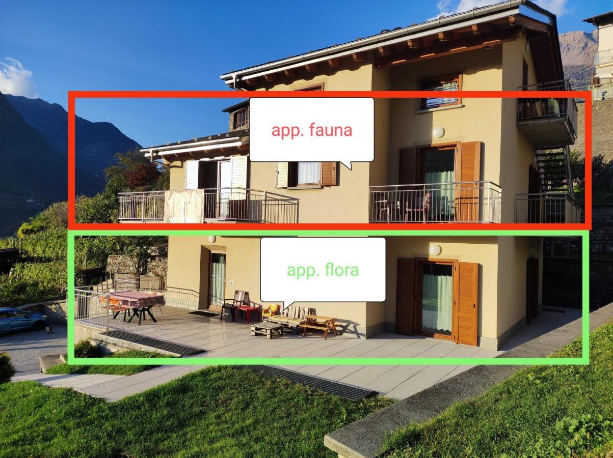 Pisolo Selvaggio Apartment Tirano Bagian luar foto